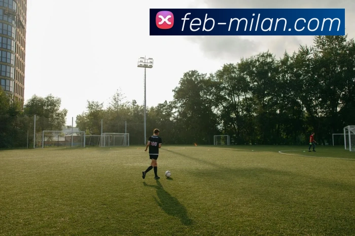 奖项证书